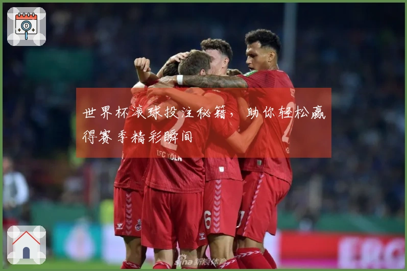 世界杯滚球投注秘籍，助你轻松赢得赛季精彩瞬间