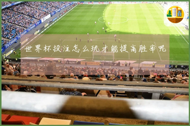 世界杯投注怎么玩才能提高胜率呢
