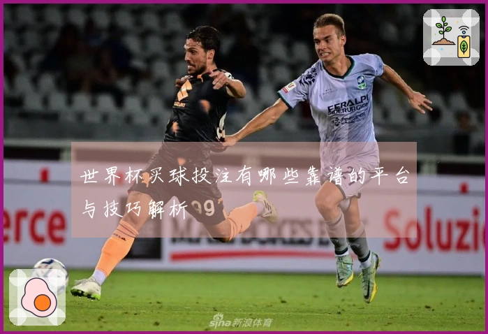 世界杯买球投注有哪些靠谱的平台与技巧解析