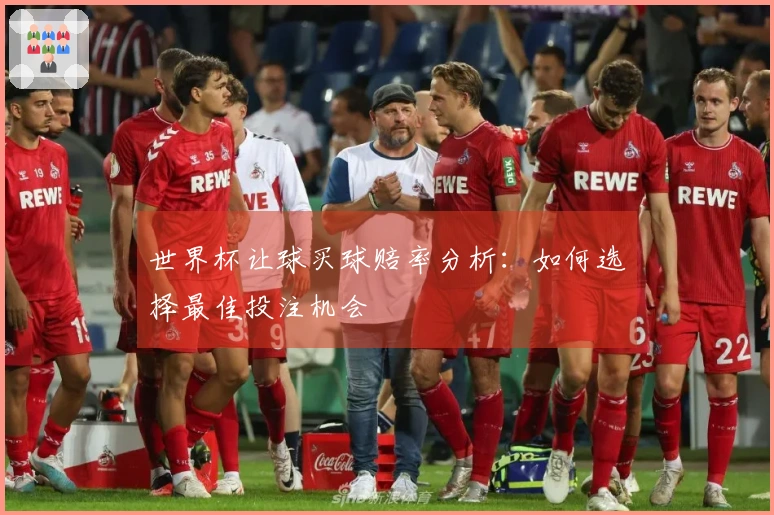 世界杯让球买球赔率分析：如何选择最佳投注机会