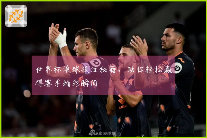 世界杯滚球投注秘籍，助你轻松赢得赛季精彩瞬间