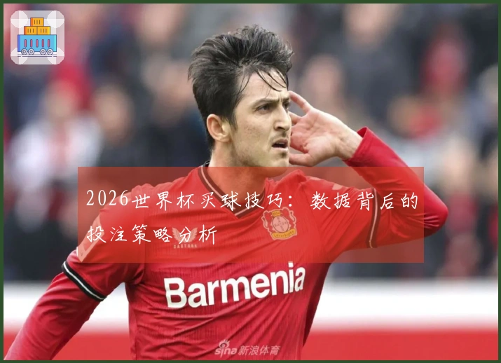 2026世界杯买球技巧：数据背后的投注策略分析