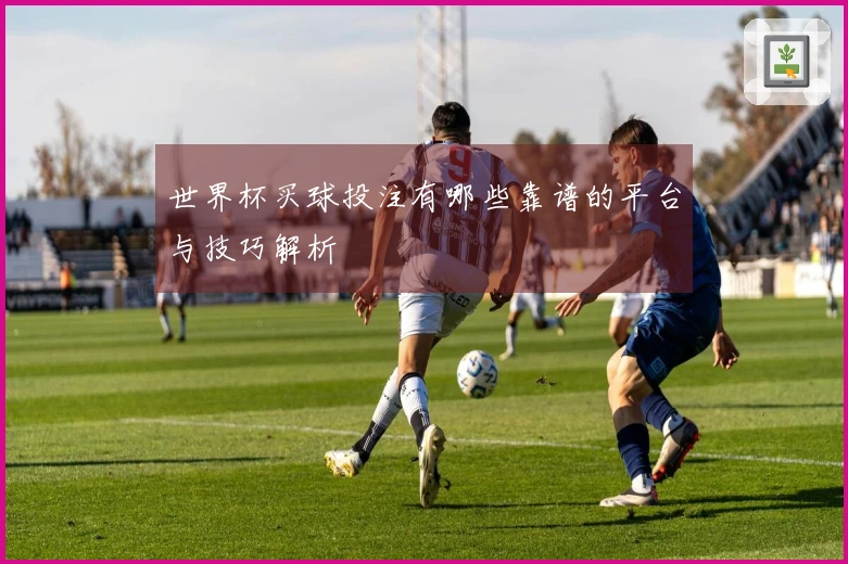 世界杯买球投注有哪些靠谱的平台与技巧解析